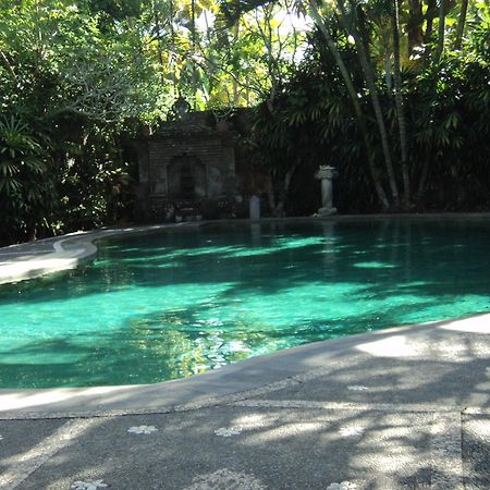 Villa Bhuana Alit Ubud Zewnętrze zdjęcie