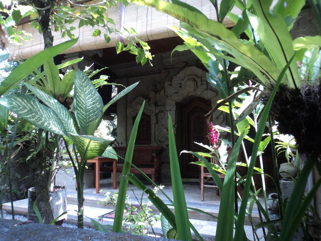 Villa Bhuana Alit Ubud Zewnętrze zdjęcie