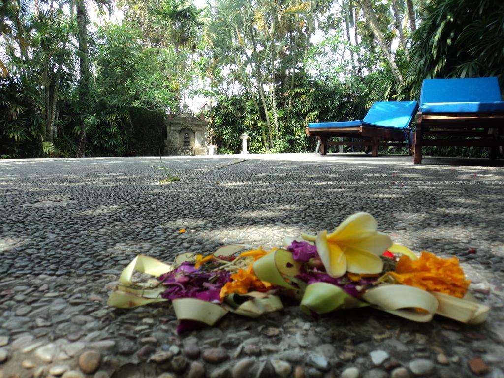 Villa Bhuana Alit Ubud Zewnętrze zdjęcie