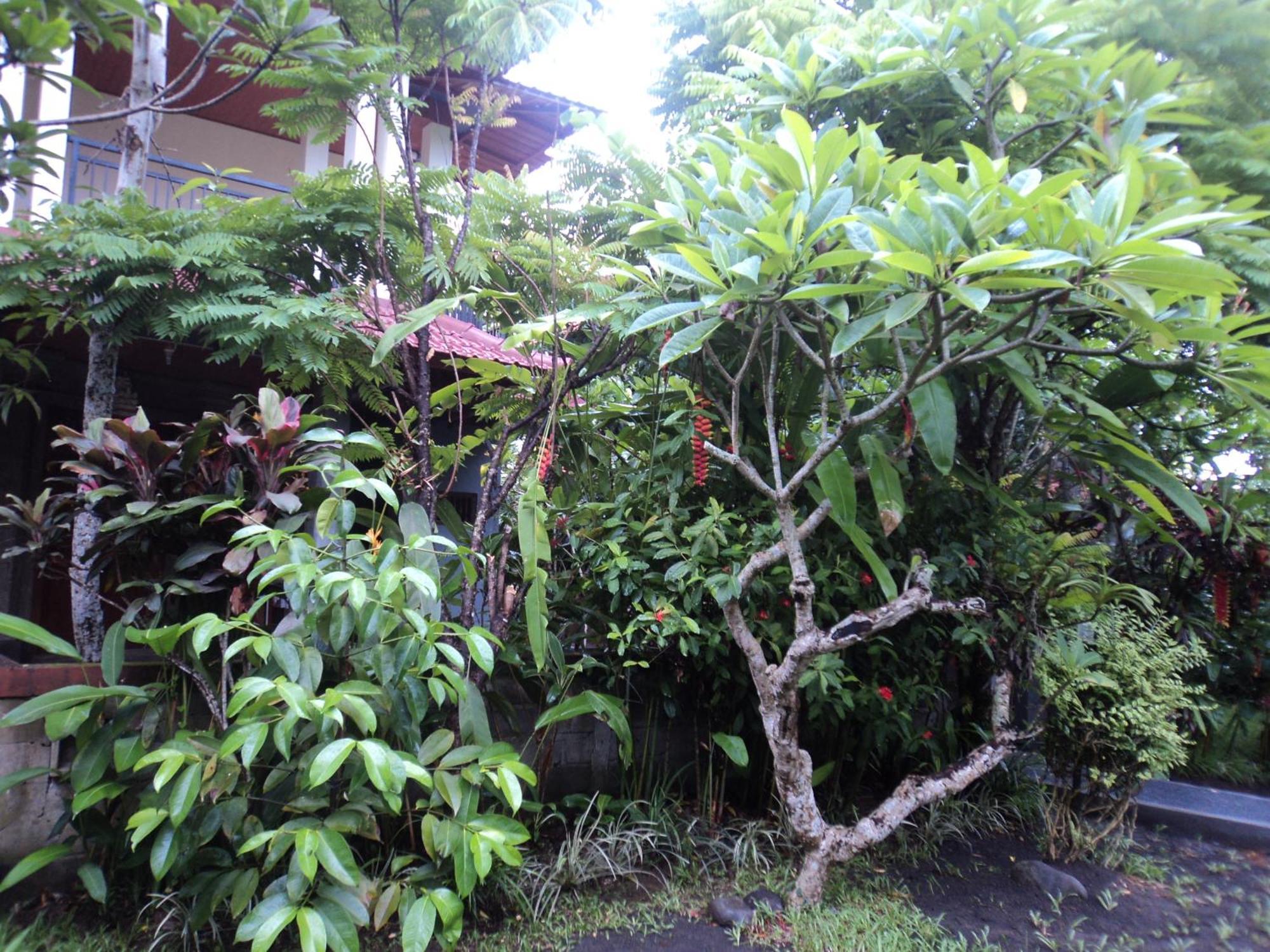 Villa Bhuana Alit Ubud Pokój zdjęcie