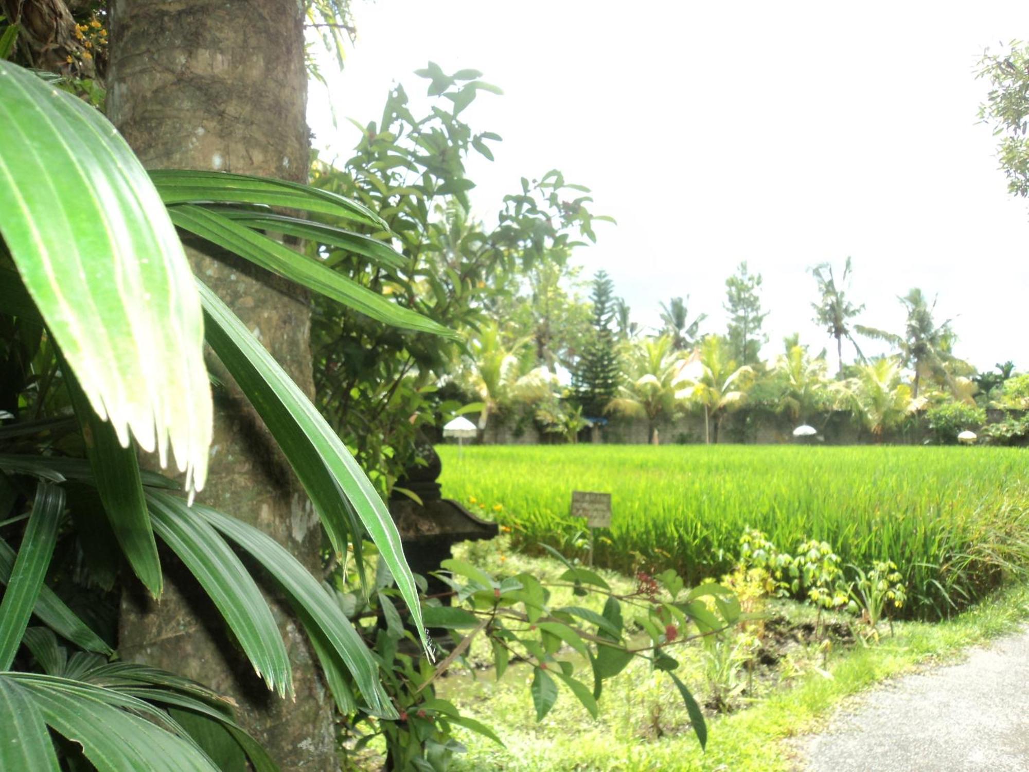Villa Bhuana Alit Ubud Pokój zdjęcie
