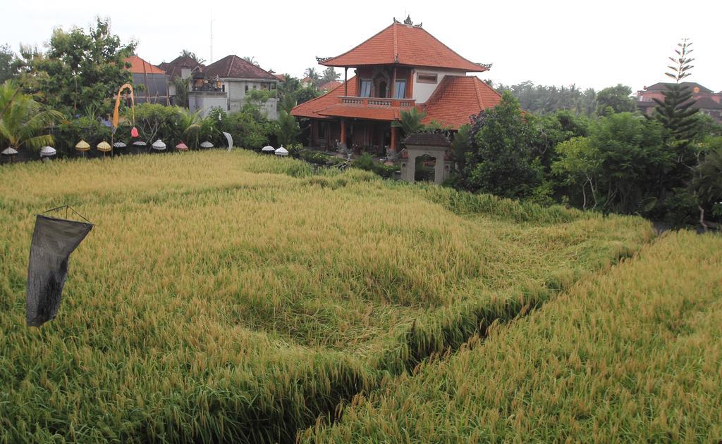 Villa Bhuana Alit Ubud Zewnętrze zdjęcie