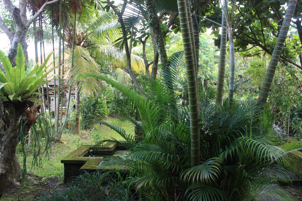 Villa Bhuana Alit Ubud Zewnętrze zdjęcie